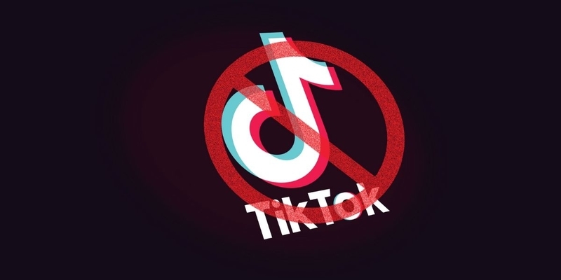India bans TikTok for political reasons