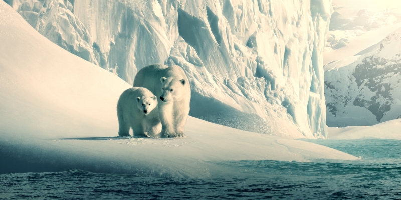 Netflix releases documentaries for educational purposes